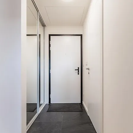 Zwirn Centre Apt,free Parking Business&pleasure Apartment Bratislava